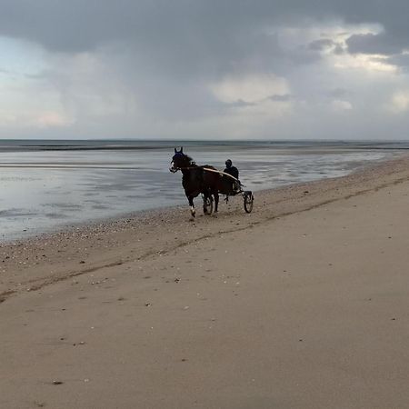 Gites " Arromanches" Ou "Bord De Mer Pmr" 2 Chambres En Front De Mer A Asnelles , 3Km D'Arromanches, 10Km De Bayeux Εξωτερικό φωτογραφία