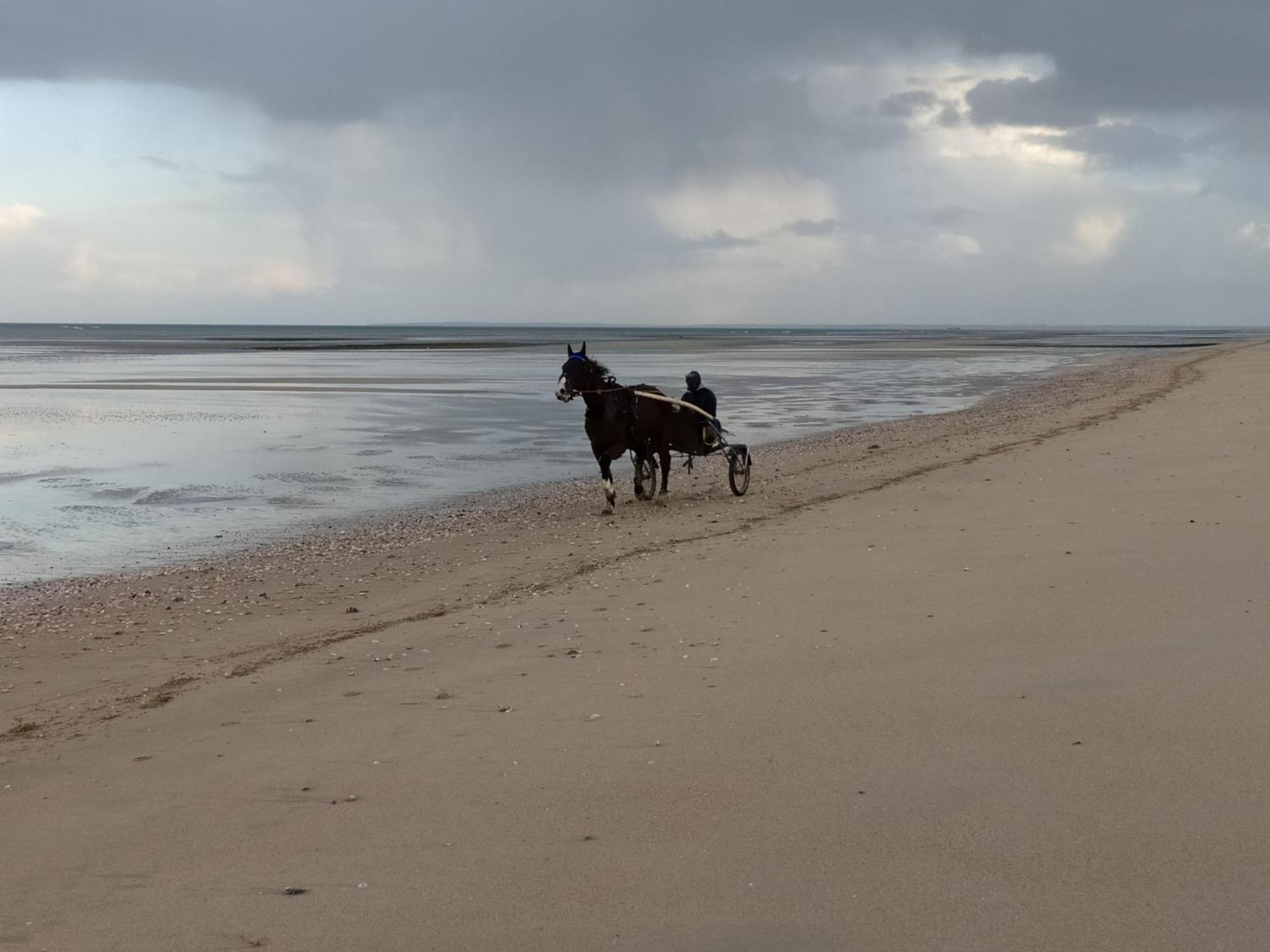 Gites " Arromanches" Ou "Bord De Mer Pmr" 2 Chambres En Front De Mer A Asnelles , 3Km D'Arromanches, 10Km De Bayeux Εξωτερικό φωτογραφία